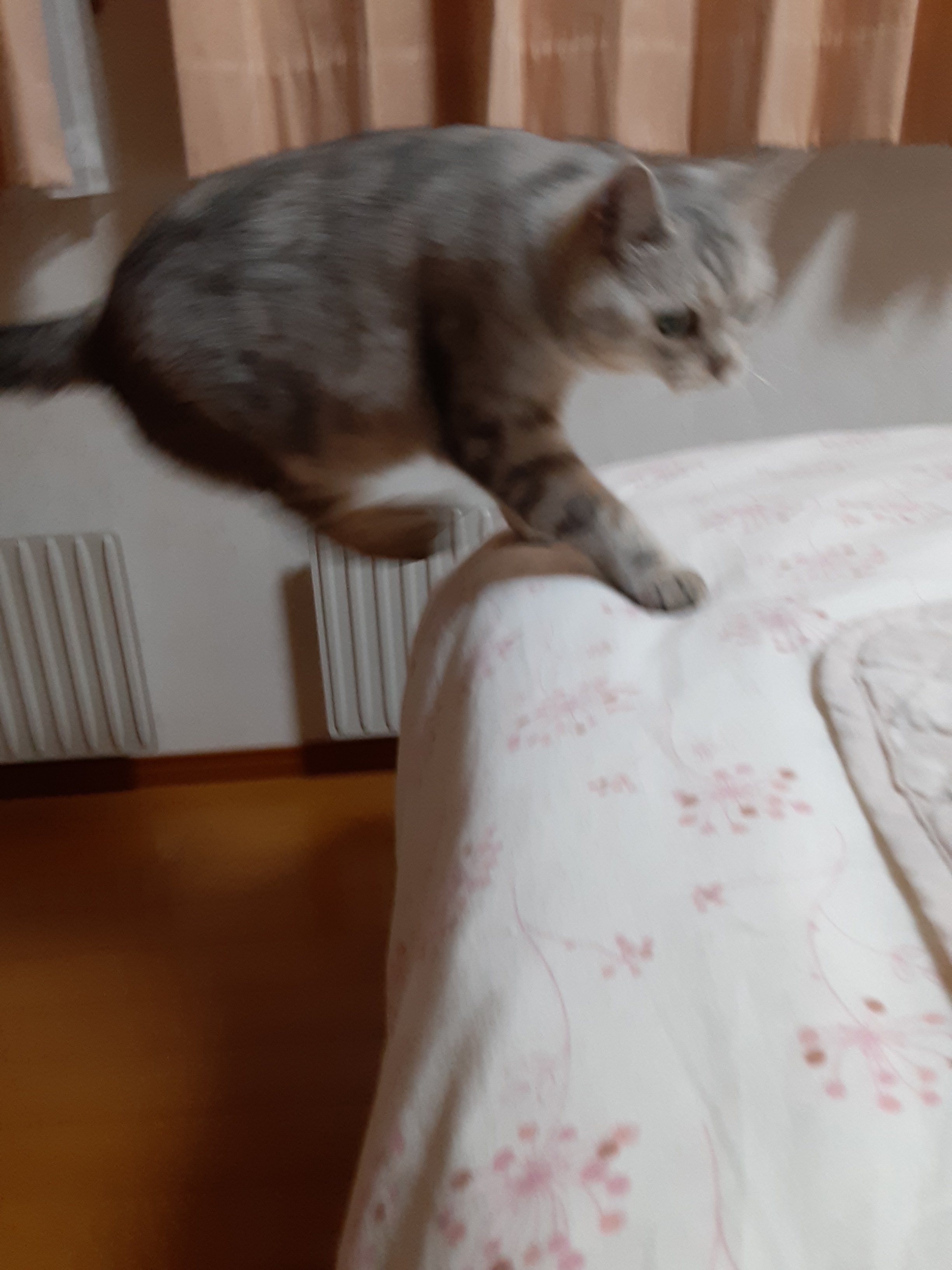 20210617_2105.jpg