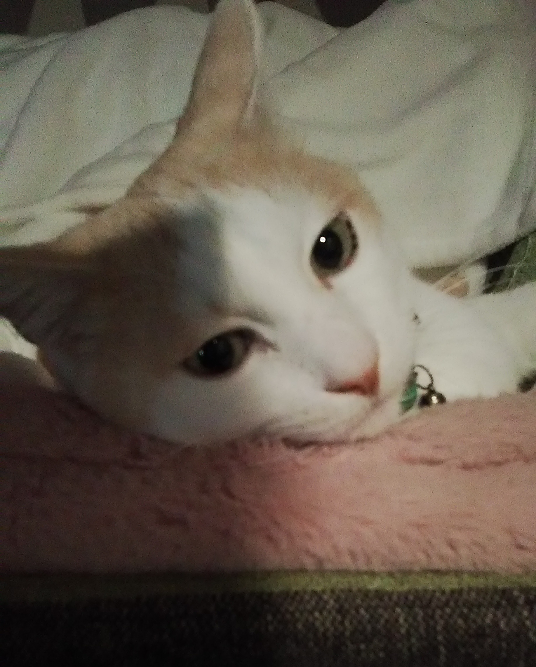 20220308_121252.jpg