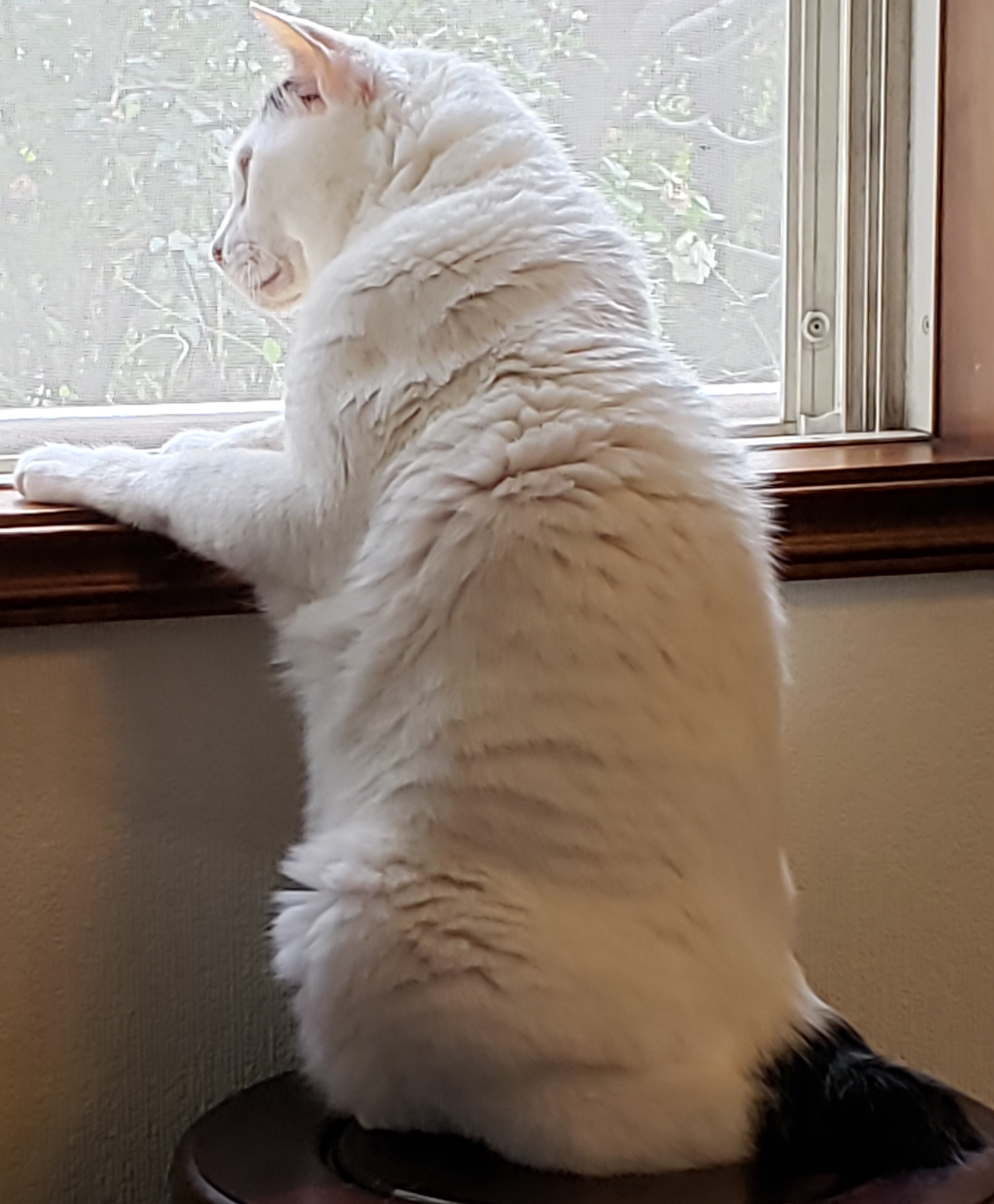 20230407_084059.jpg