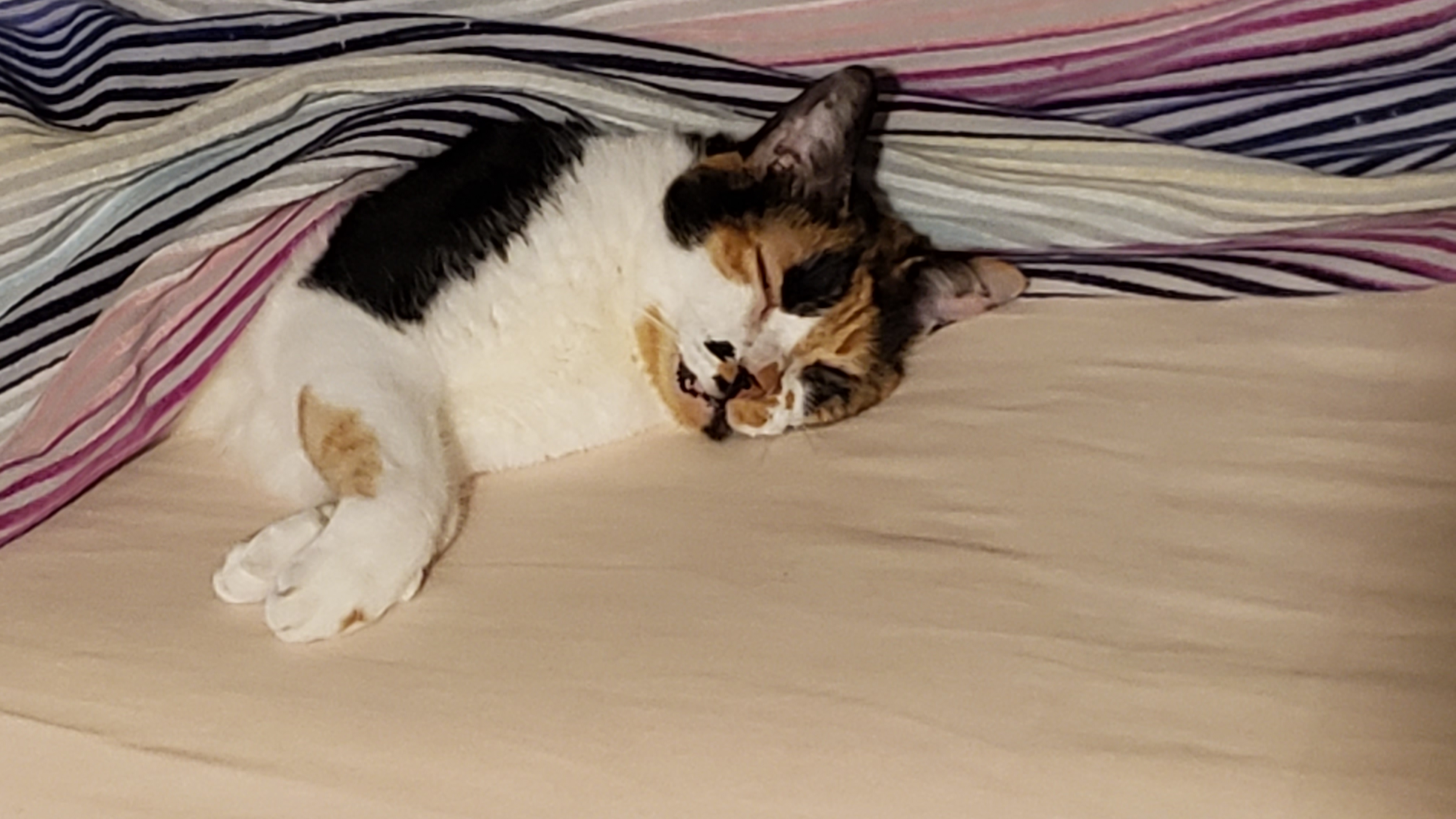 20230805_212821.jpg