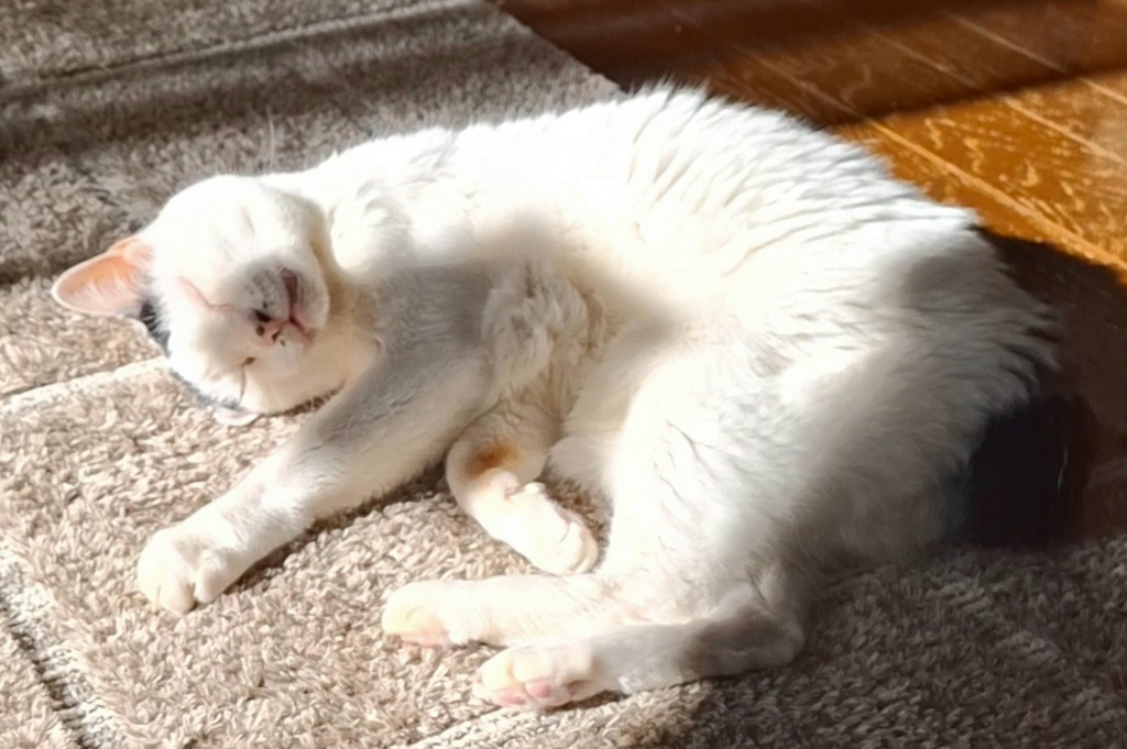 20251207_1237.jpg