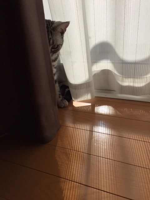 412image1.JPG