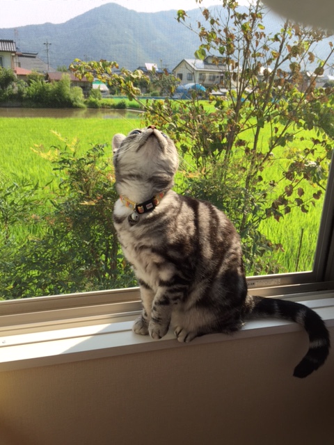 CAT3KKY4.jpg