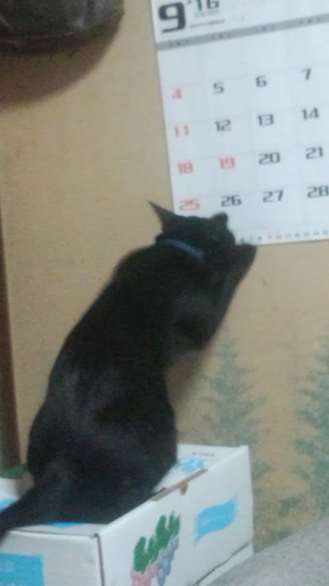 DCF00996.jpg