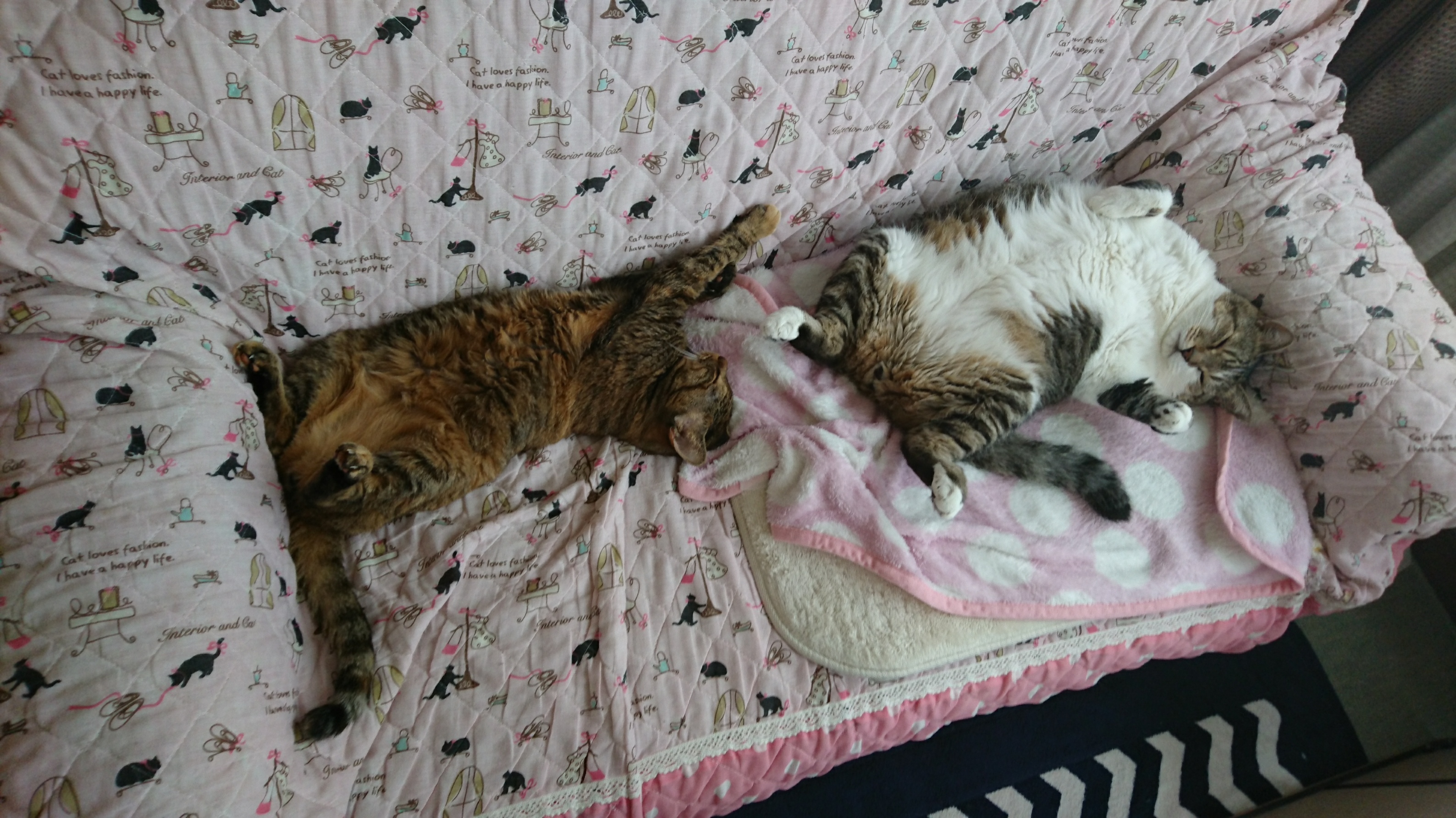 DSC_0011_2.JPG
