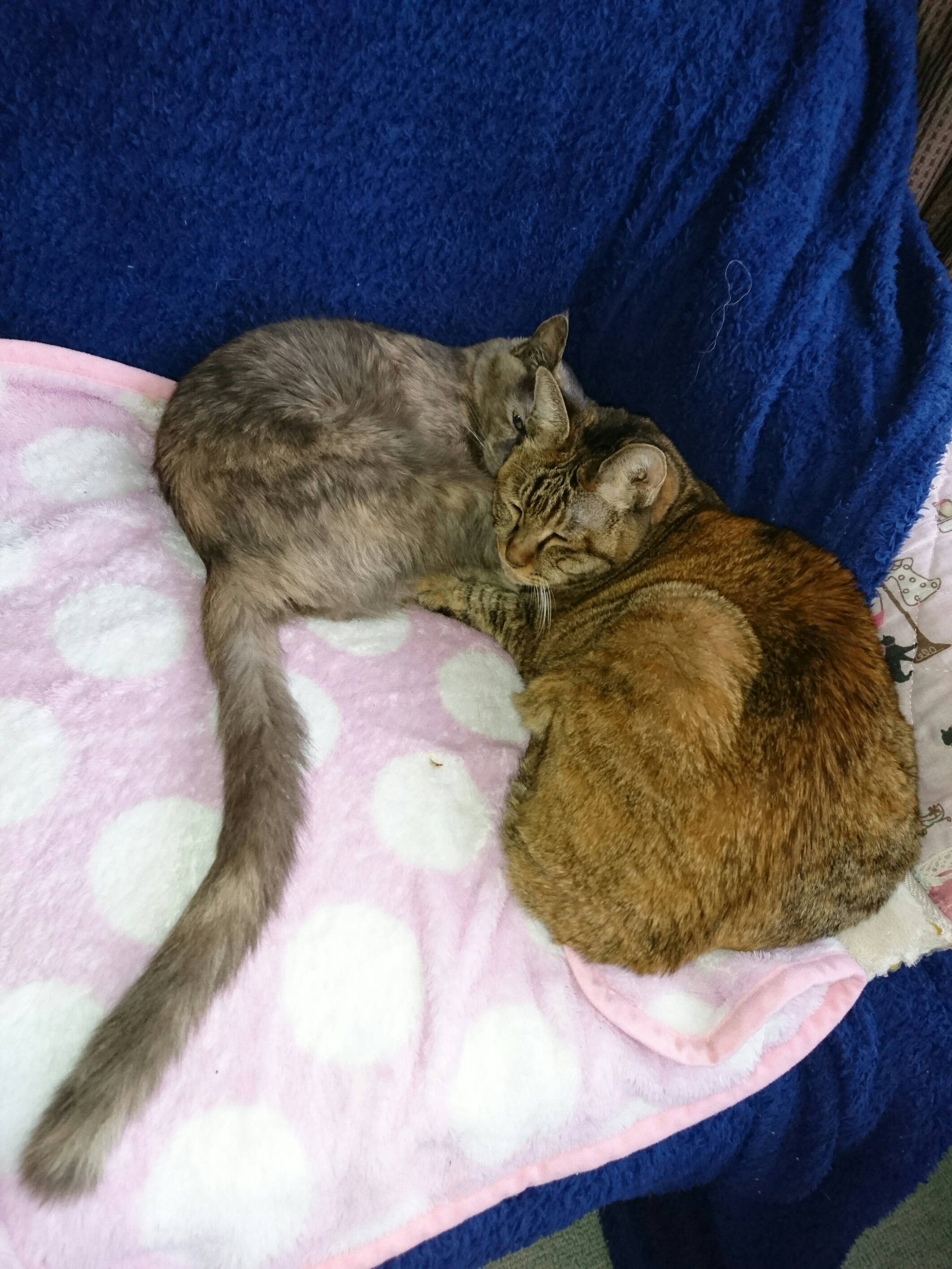 DSC_0075_2.JPG