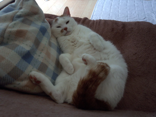 DSC_0104.jpg