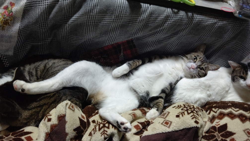 DSC_011535.JPG
