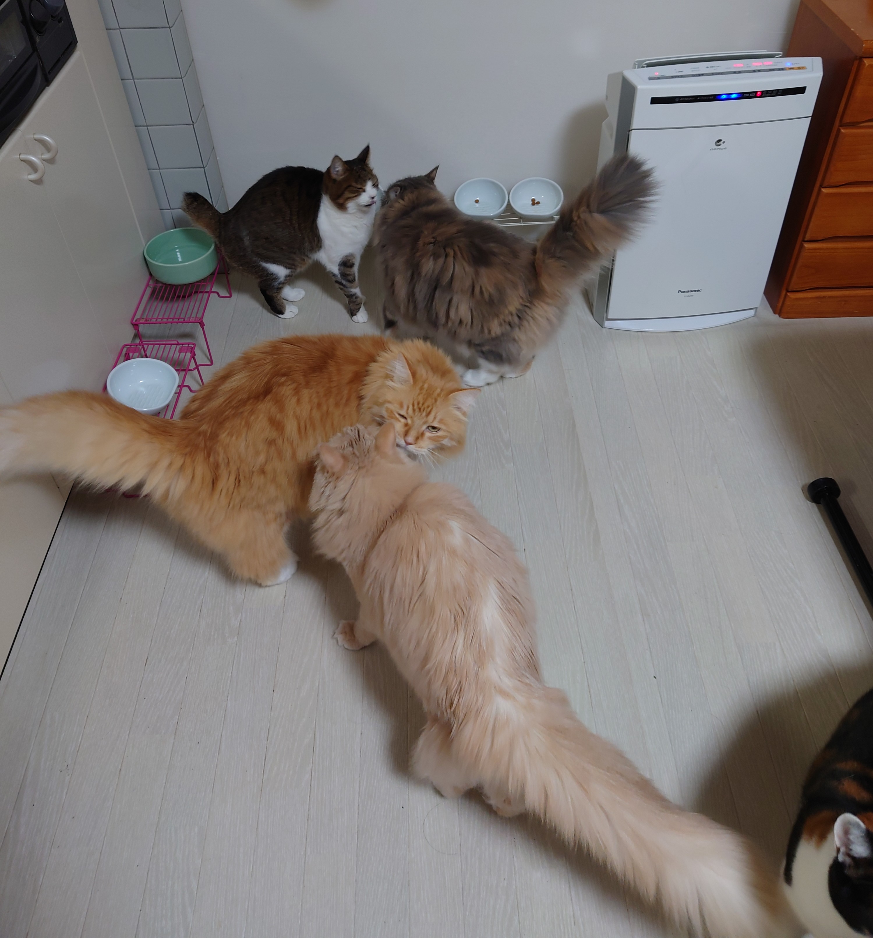 DSC_0159.JPG