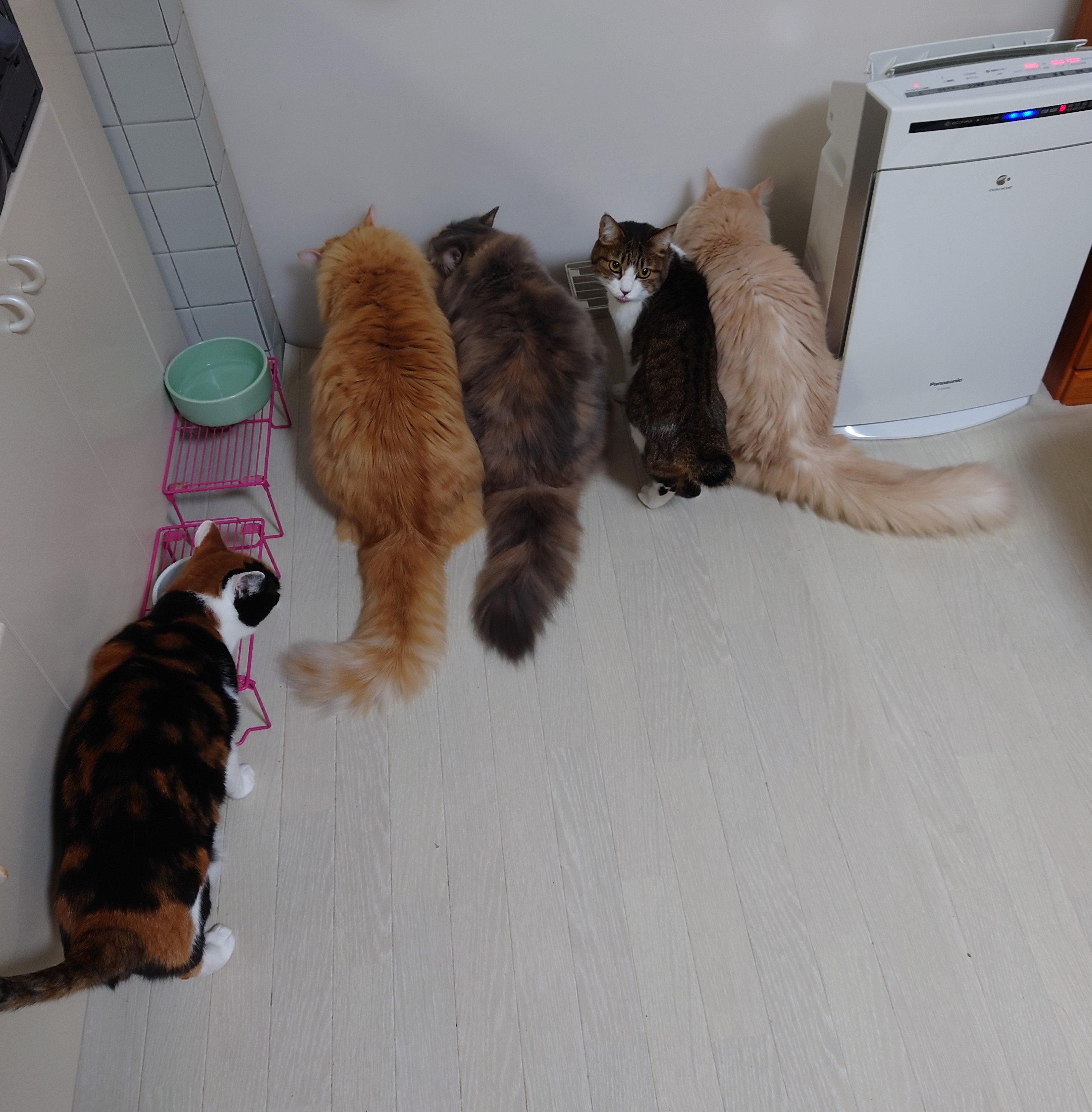 DSC_0163~2.JPG