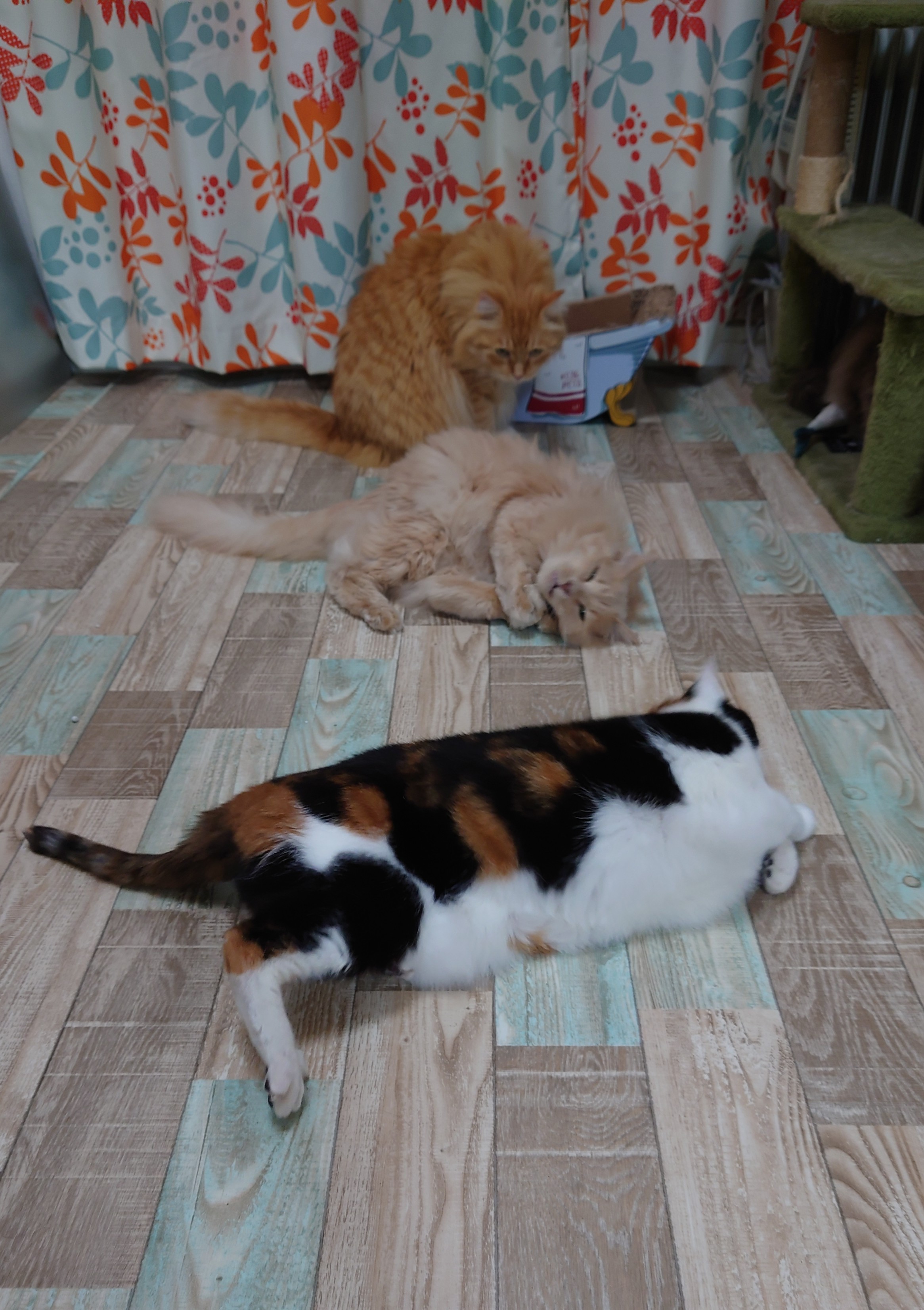 DSC_0166~2.JPG