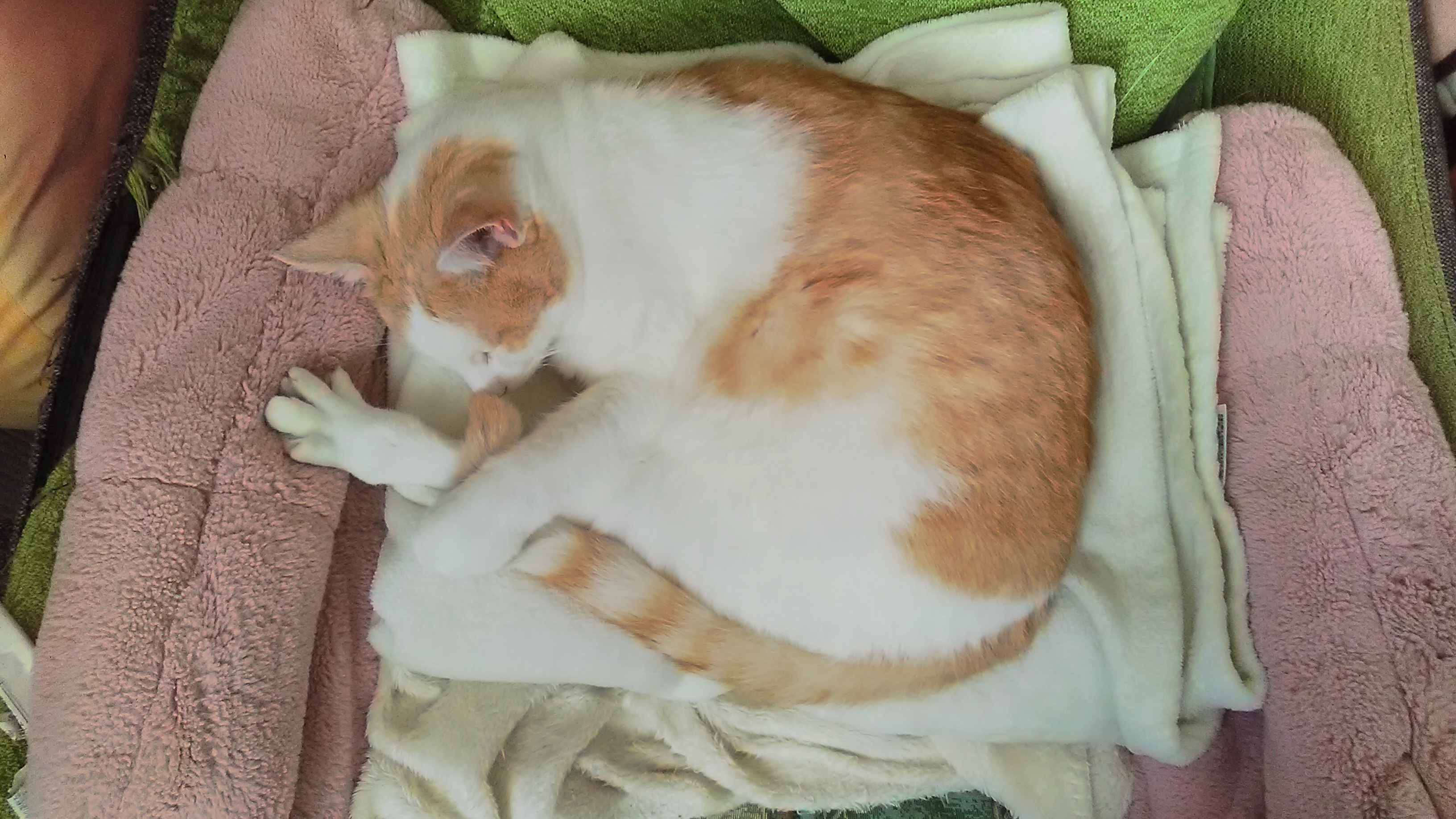 DSC_0222651.JPG