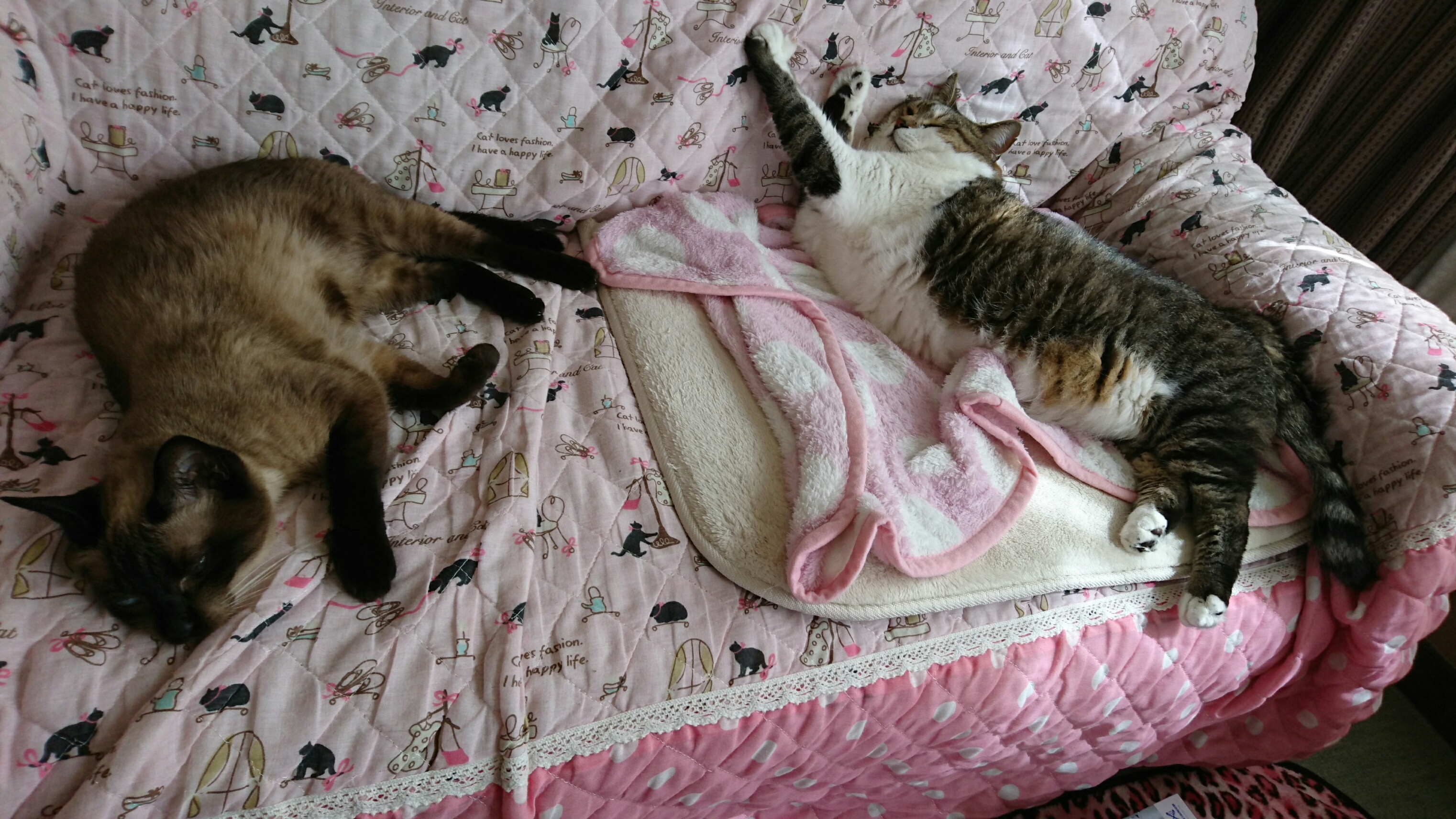 DSC_0301.JPG