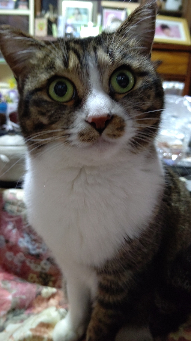 DSC_0348.JPG
