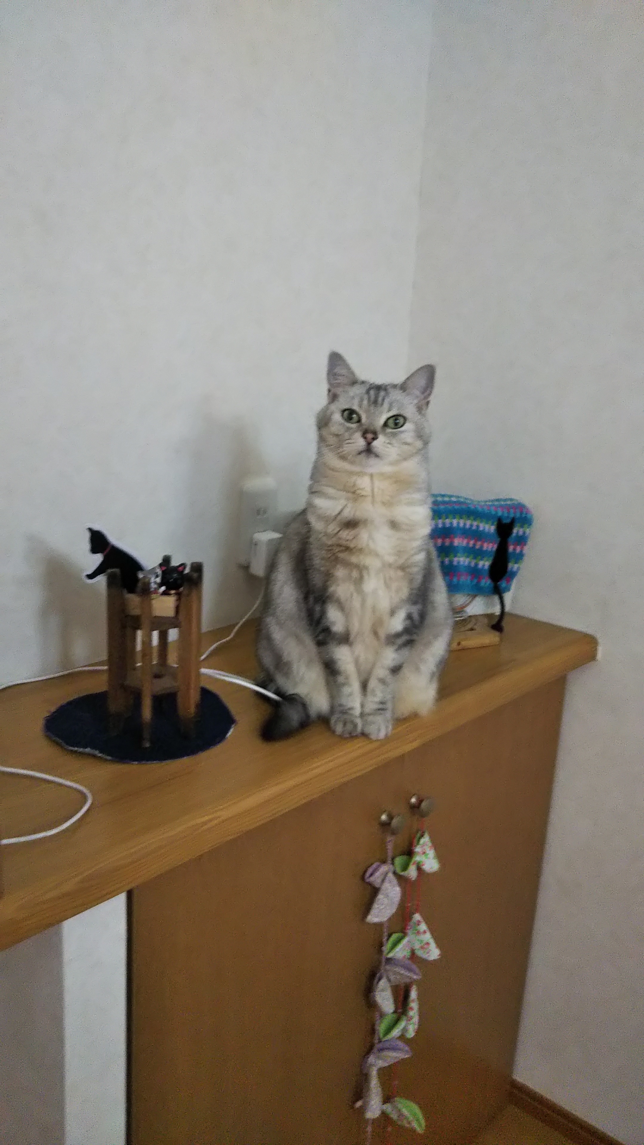 DSC_0403.JPG