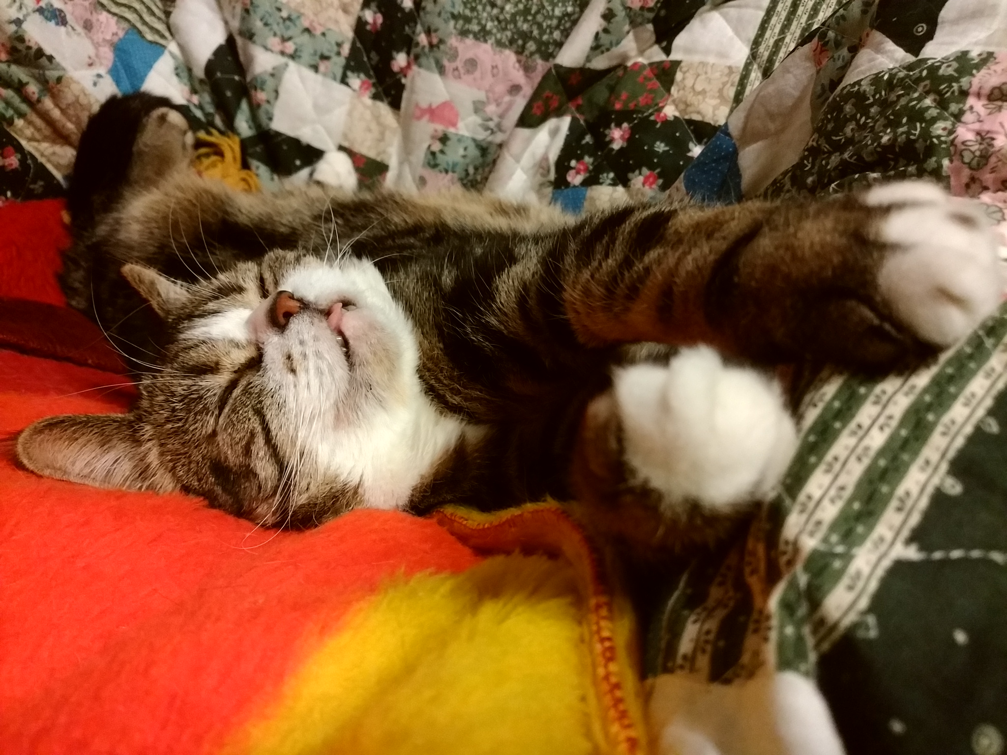 DSC_0435.jpg