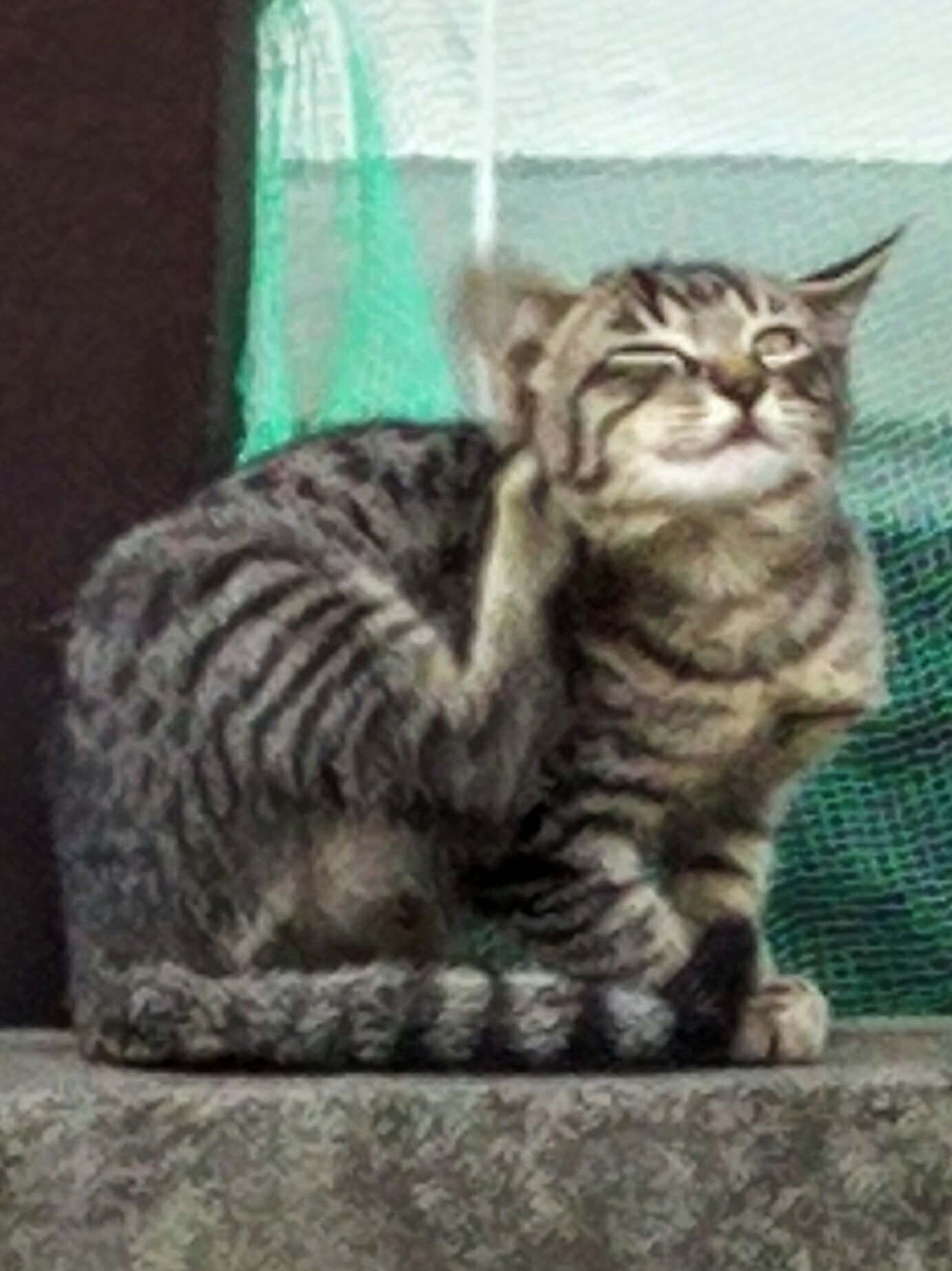 DSC_0530~2.JPG