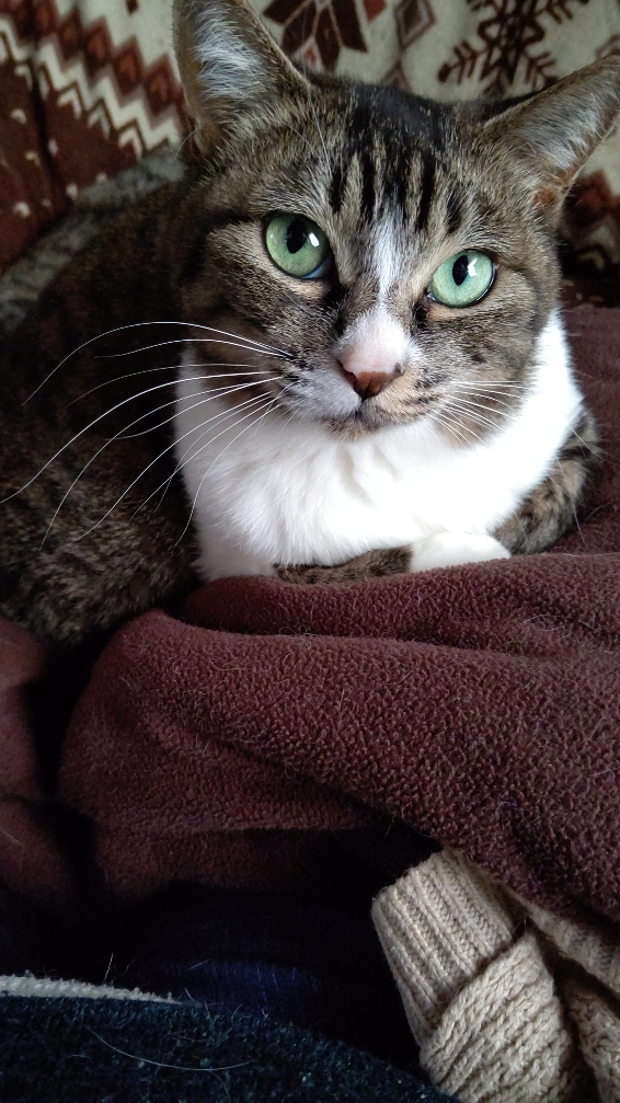 DSC_0646momosu.JPG