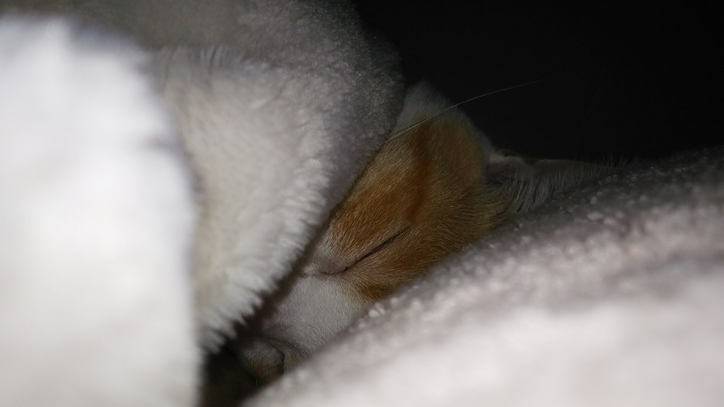 DSC_0651.JPG