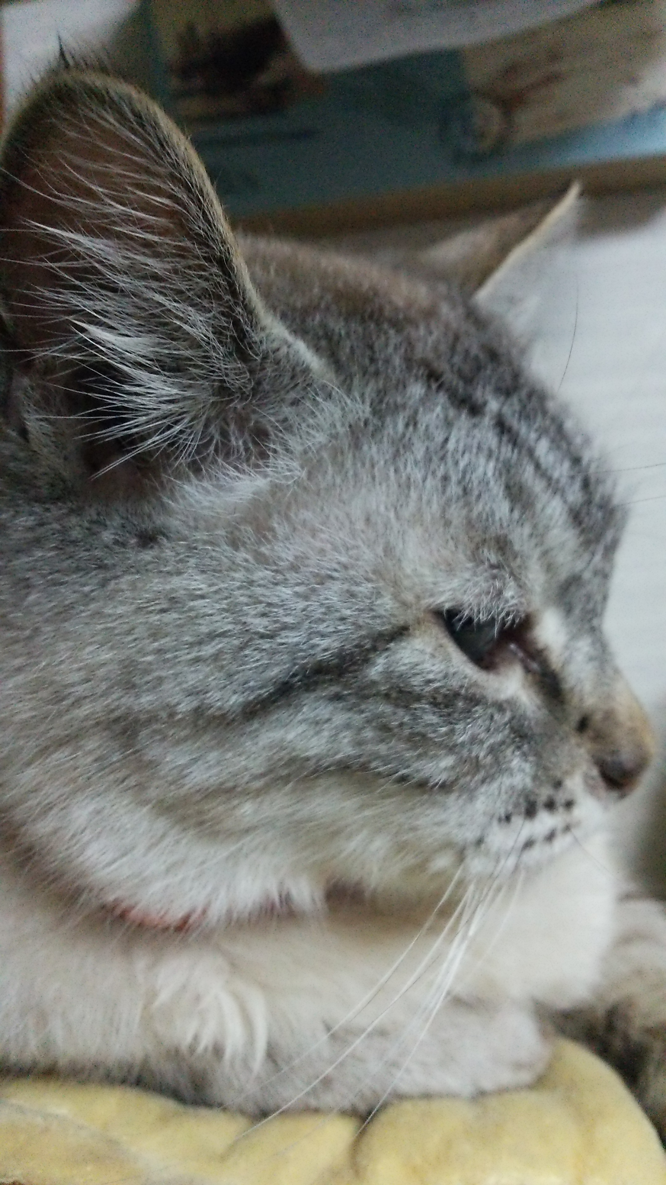 DSC_0727.jpg