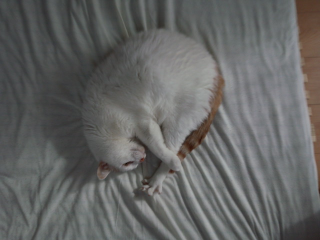 DSC_1078.jpg