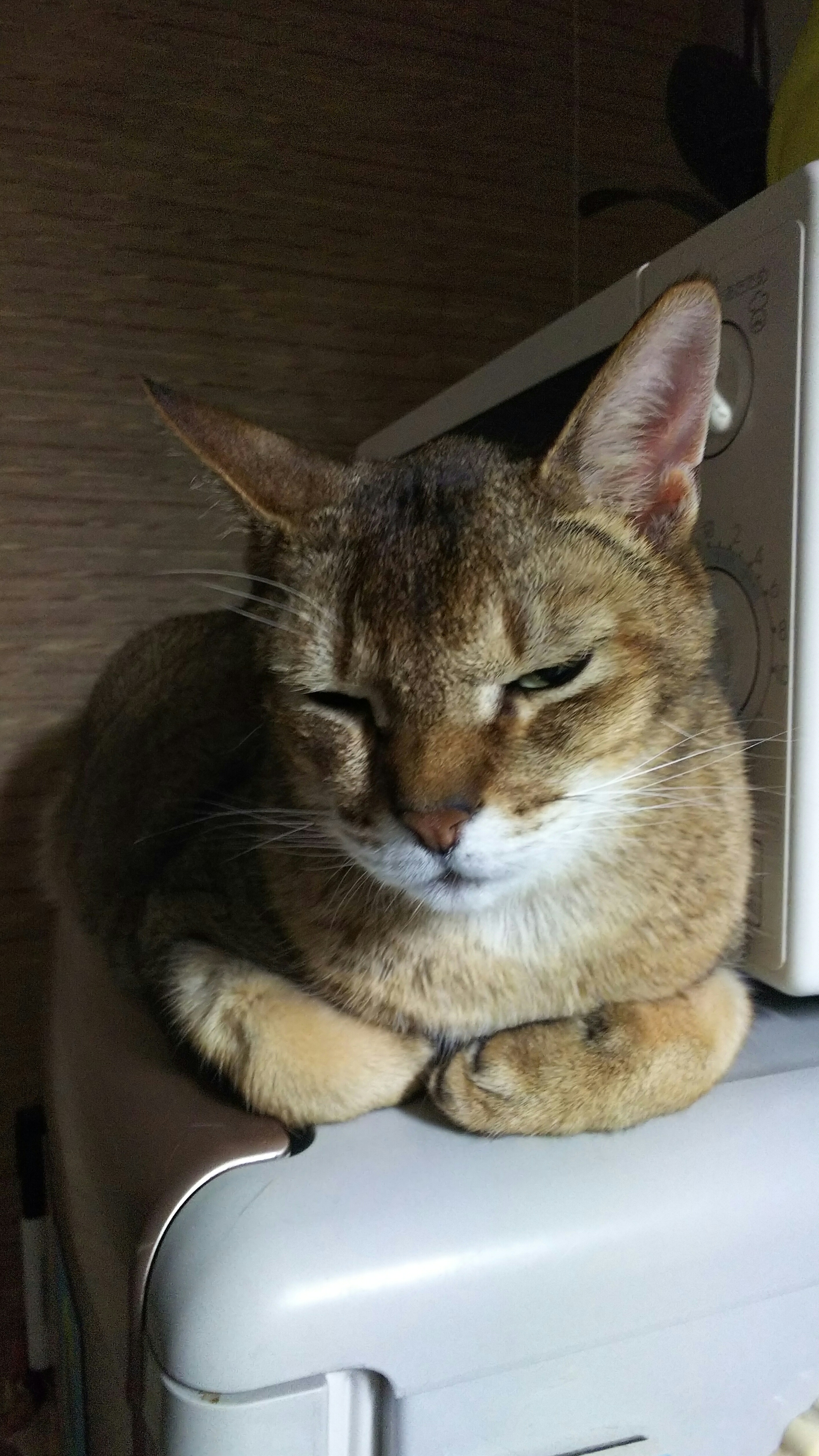 DSC_131.JPG