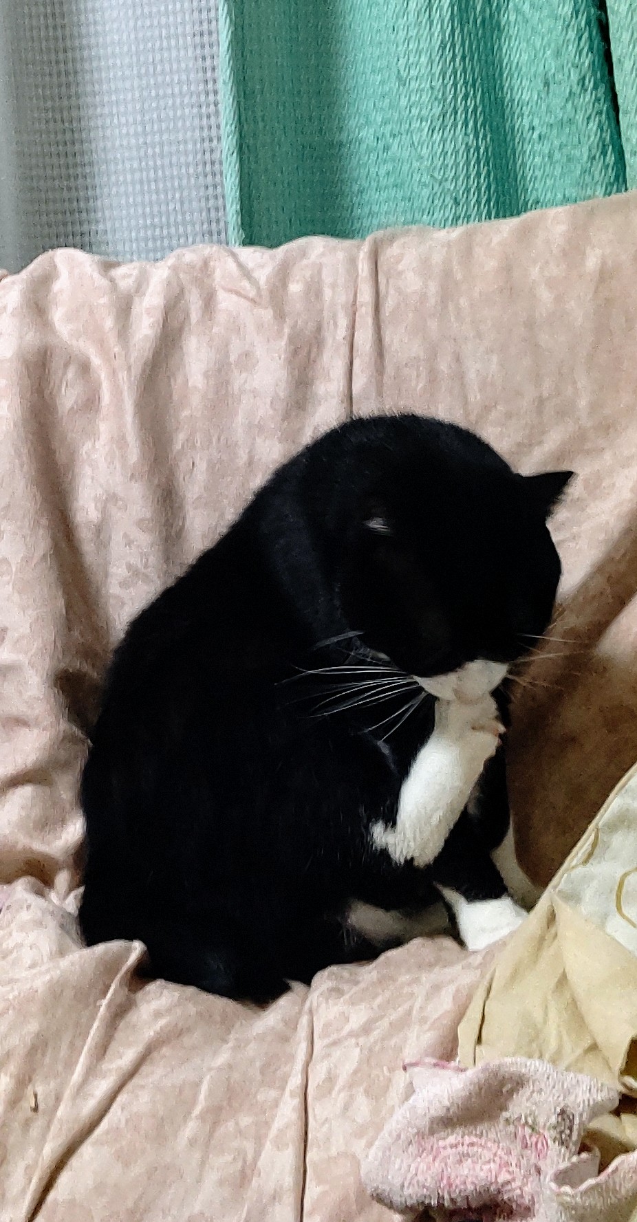 DSC_1558.JPG