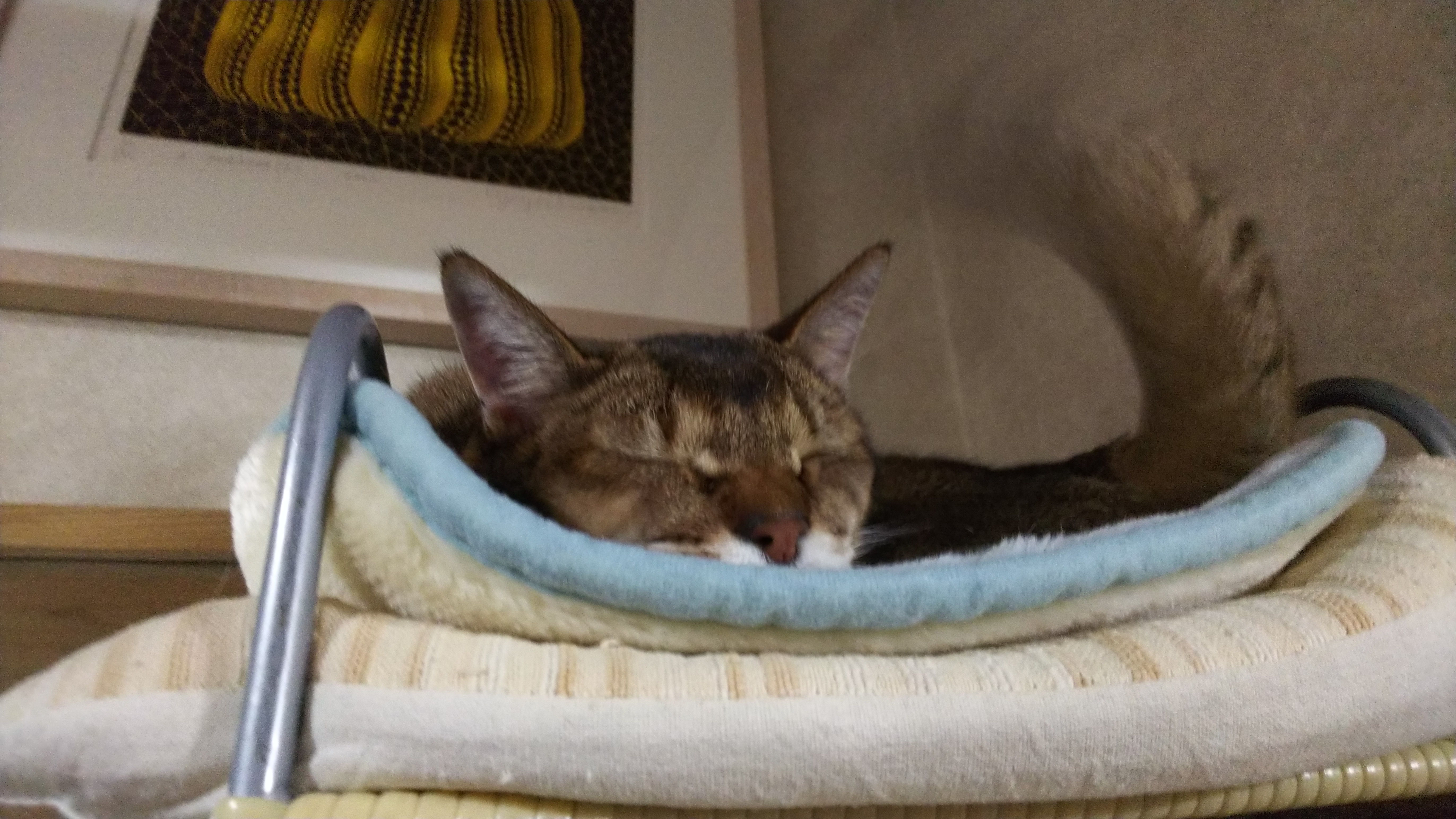 DSC_1602.JPG