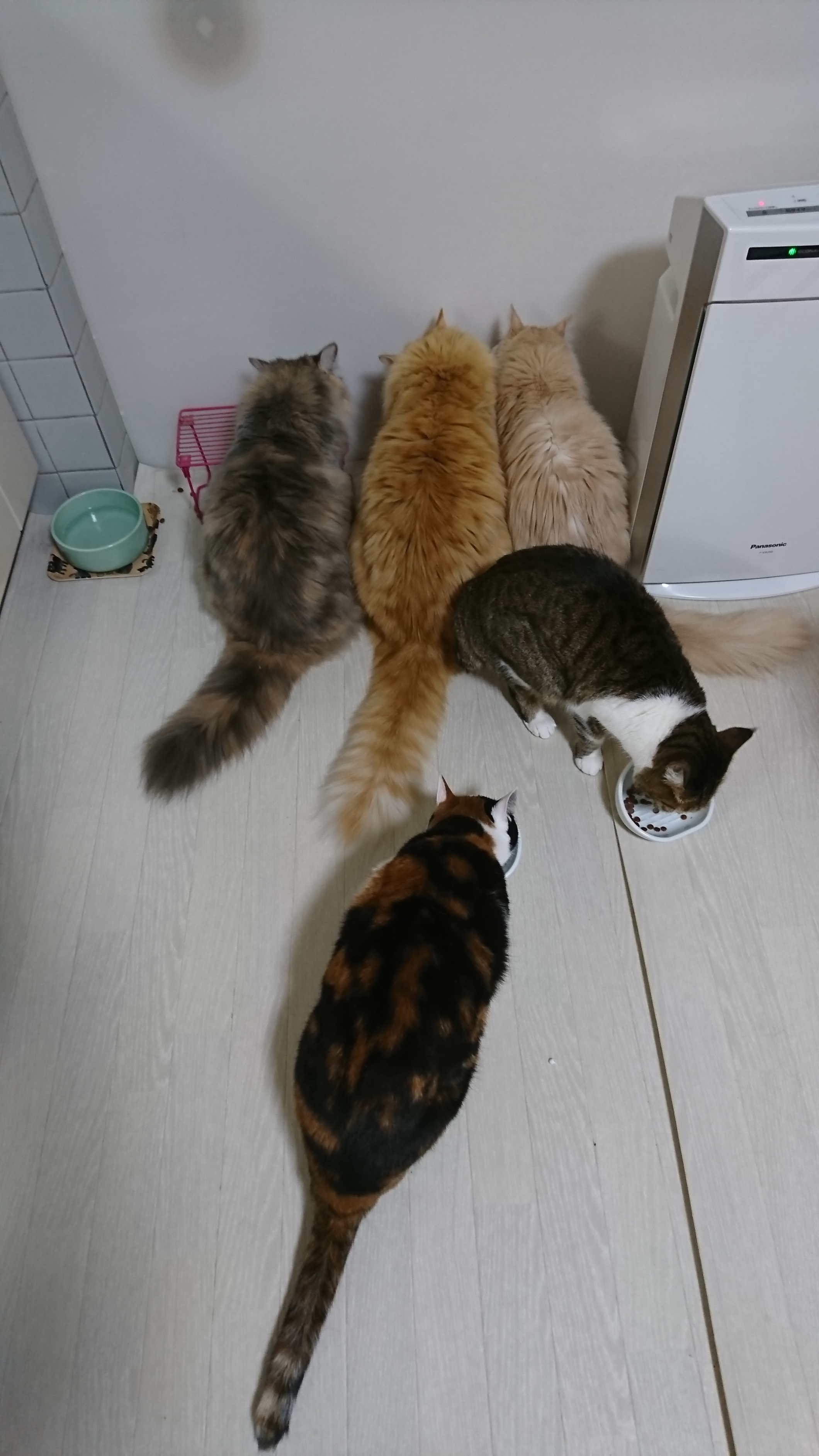 DSC_2462.JPG