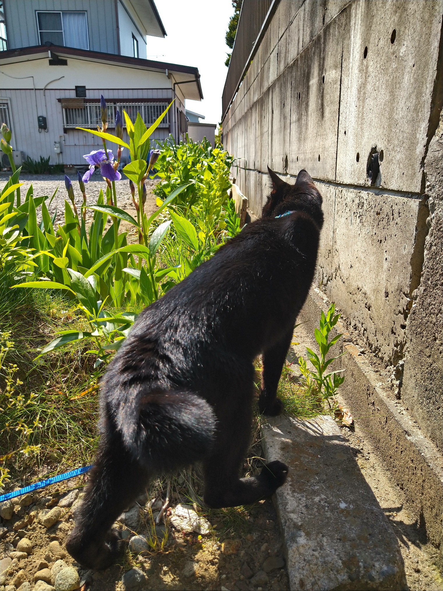 DSC_2687.JPG