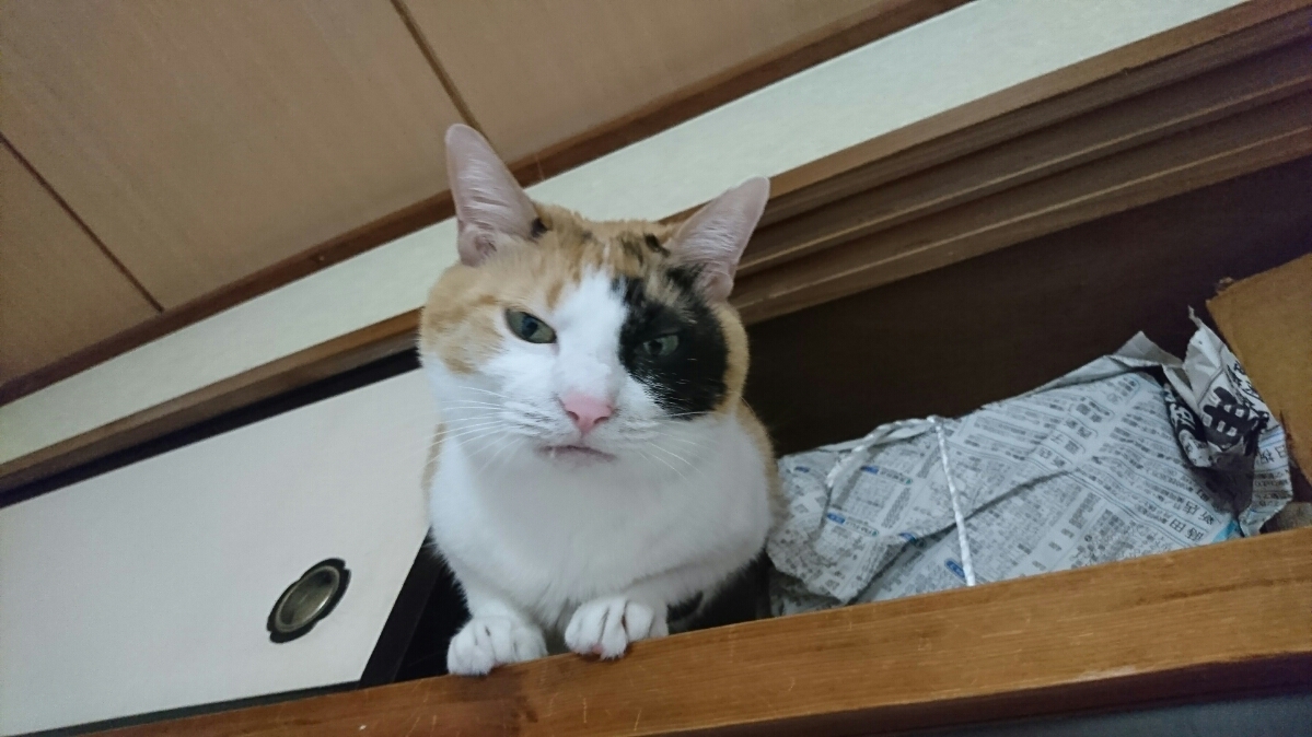 DSC_4360.JPG