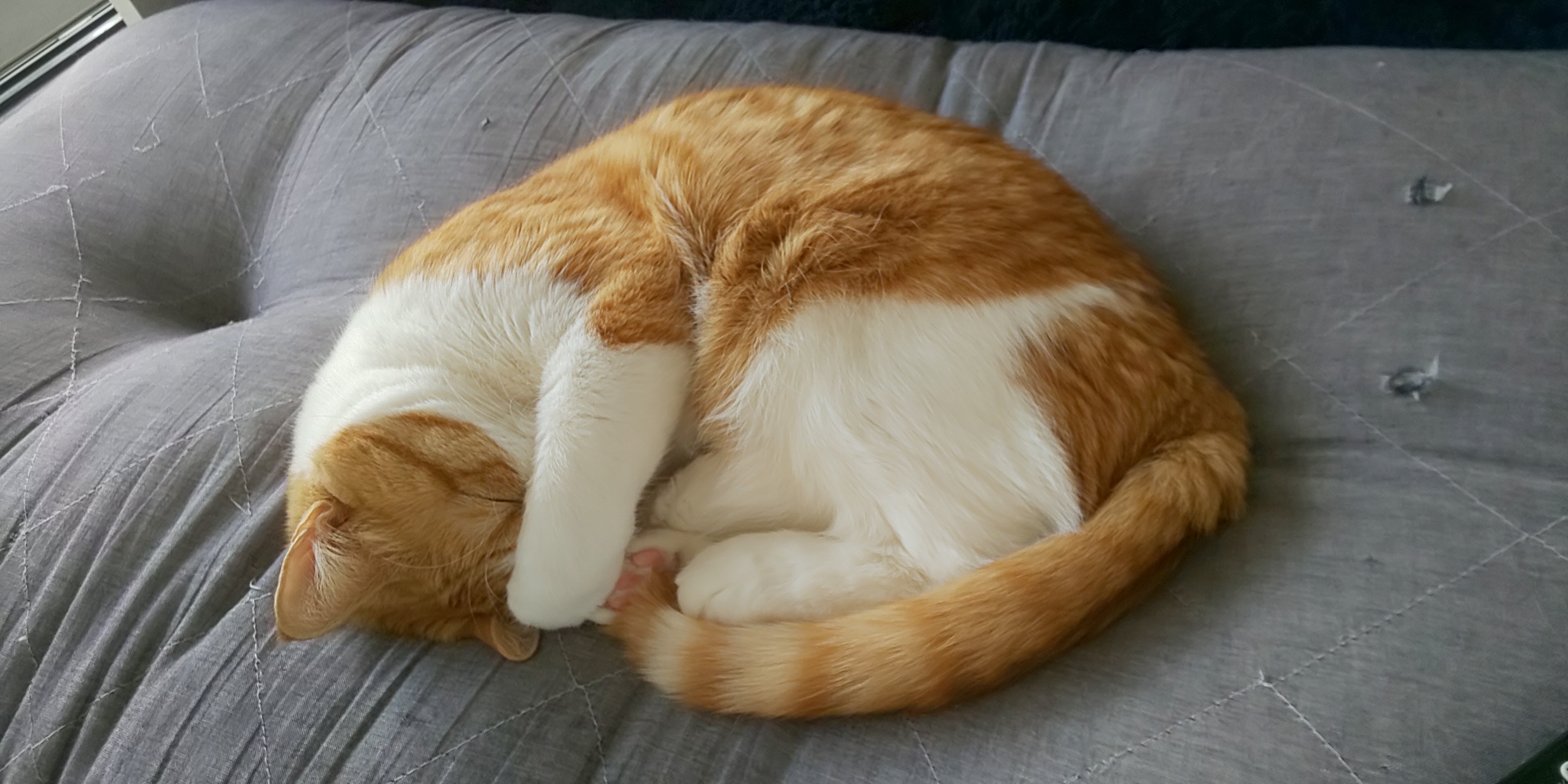DSC_4521.JPG