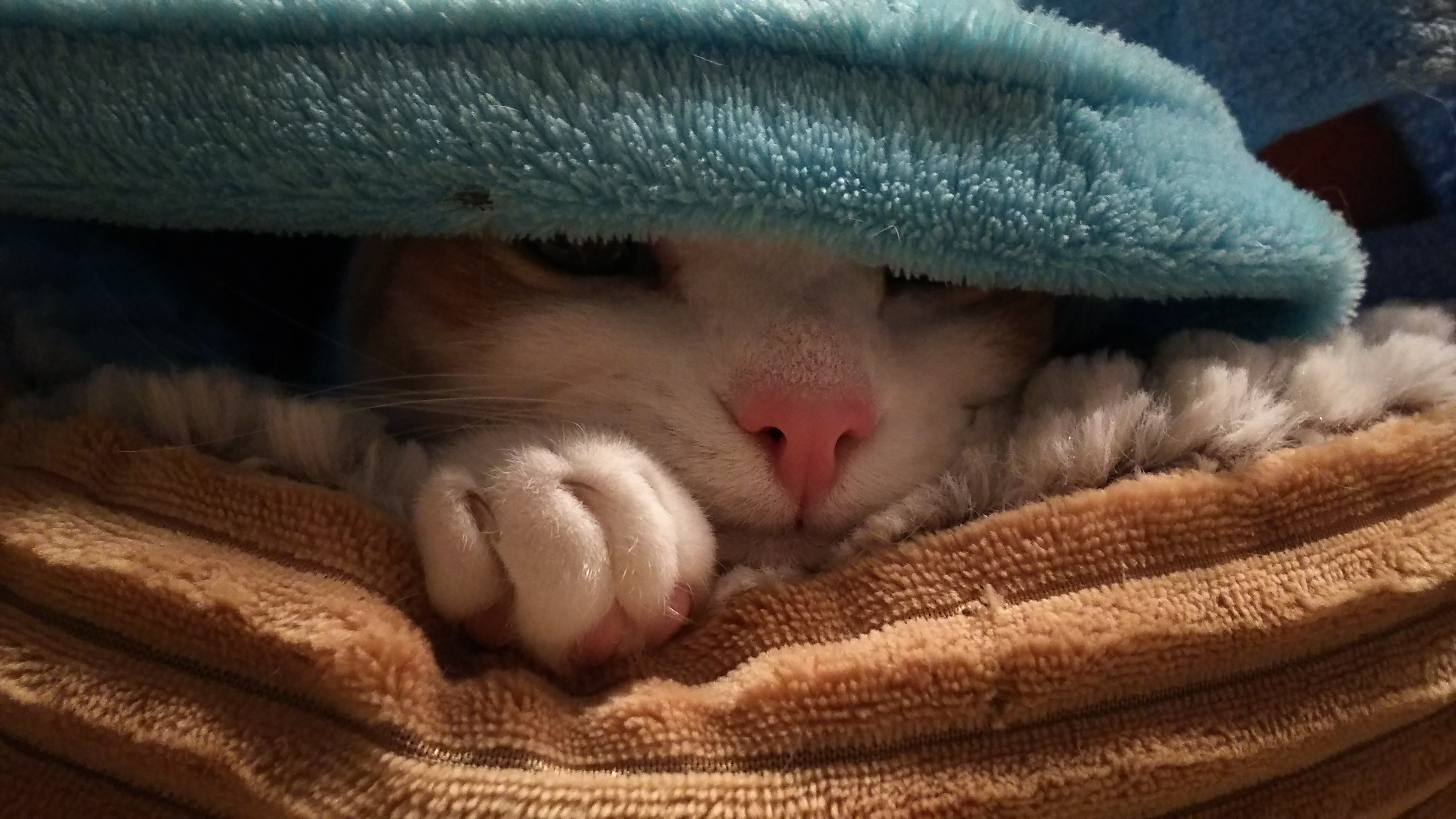 DSC_5391.JPG