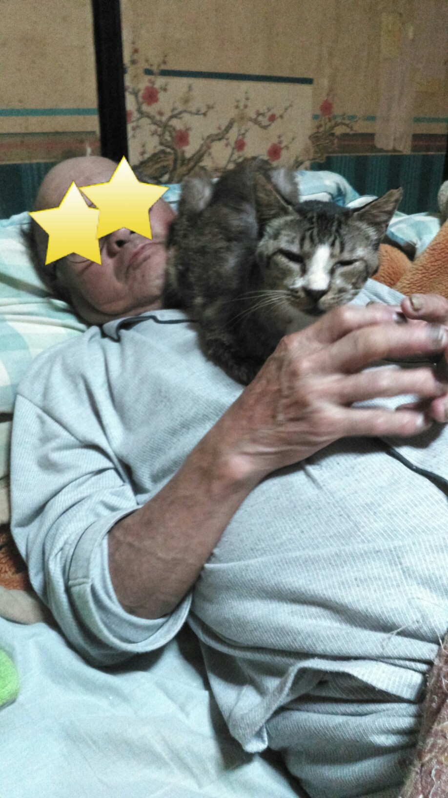 Effect_20190201_121303.jpg