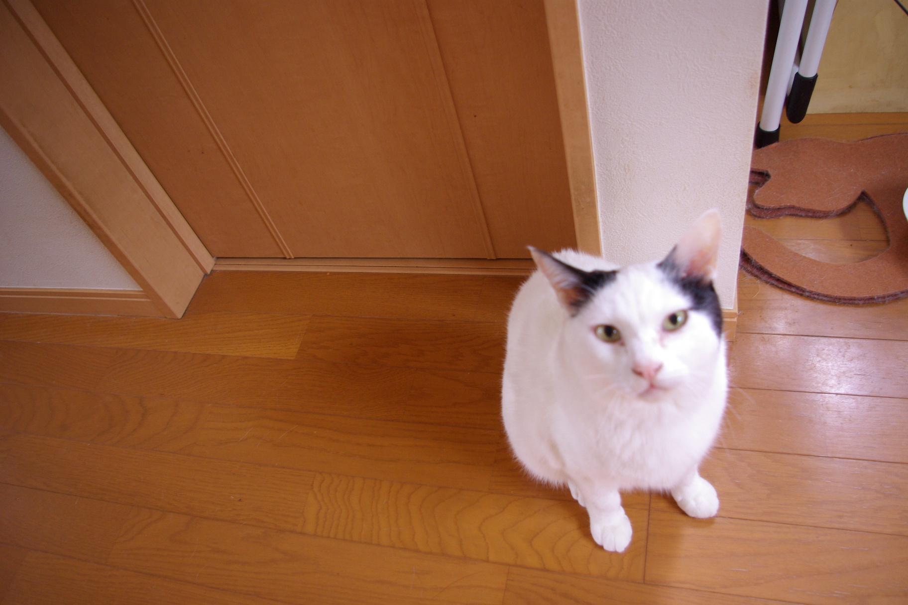 IMGP5262.JPG