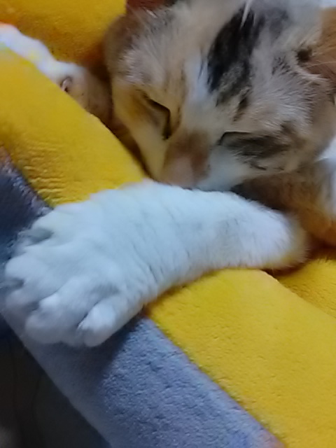 IMG_20220123_221027.jpg