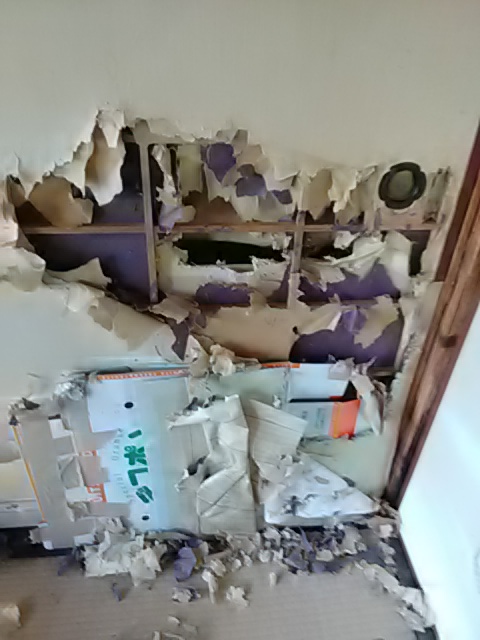 IMG_20220911_083432.jpg
