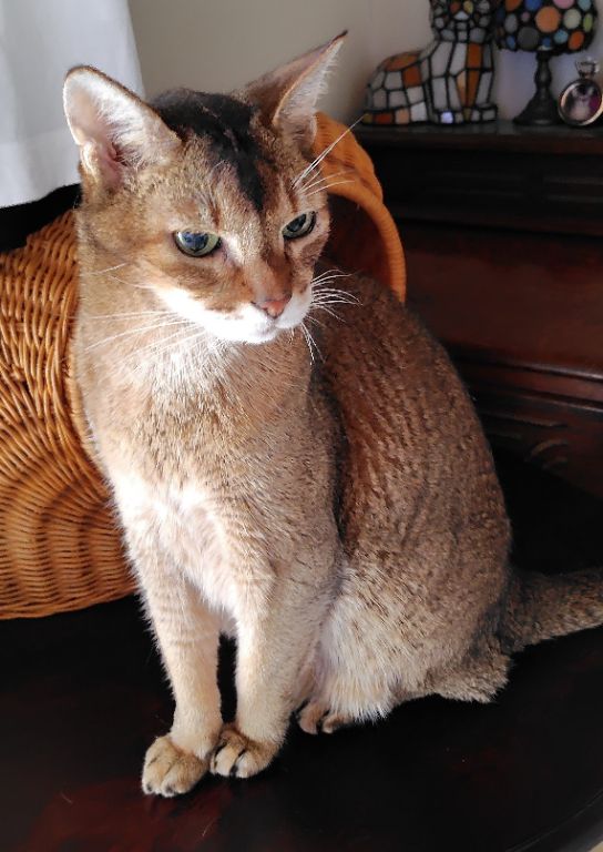 IMG_20251012_30955.jpg