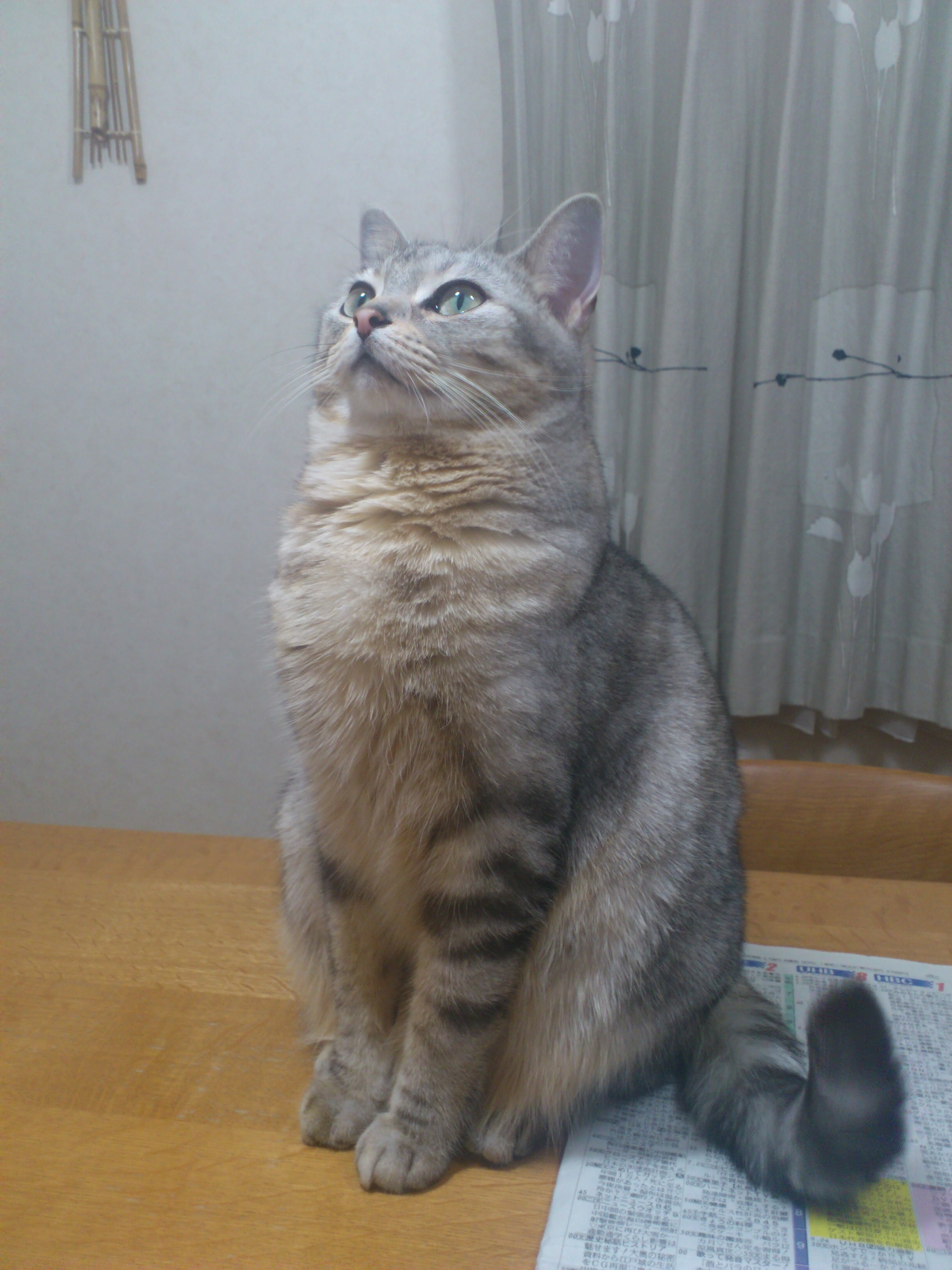 PAP_0343.JPG