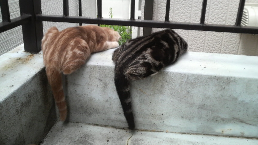 PIC000022.JPG