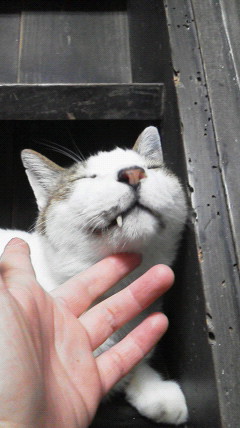 PIC0000D7.JPG