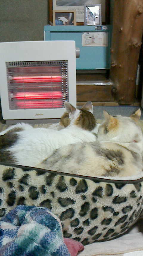 PIC00010C.JPG