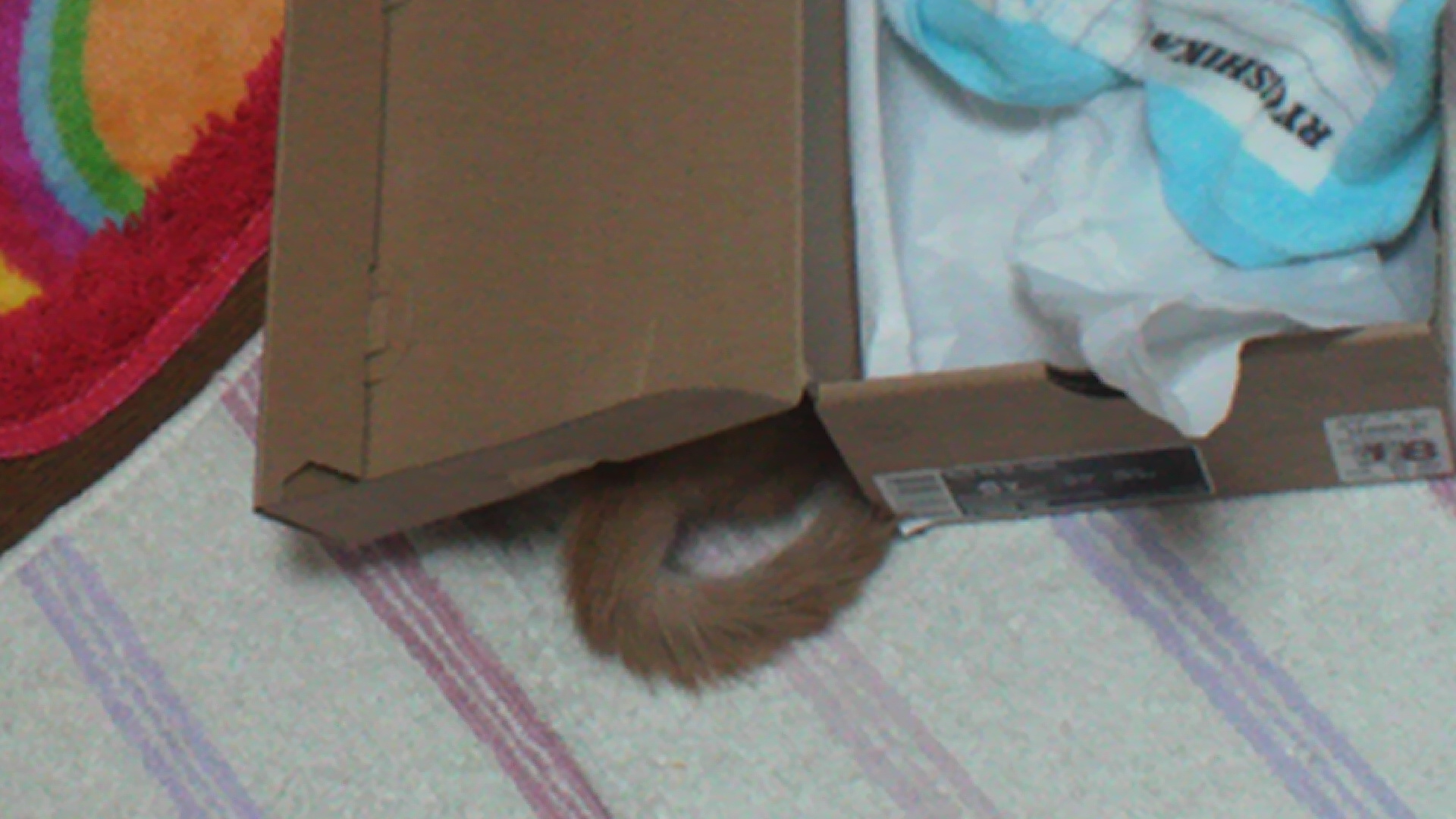 PIC0002F8.jpg