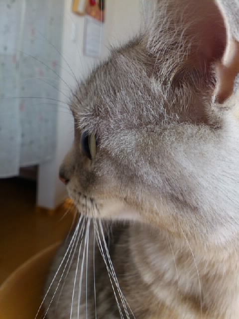 SN3V33570001.jpg