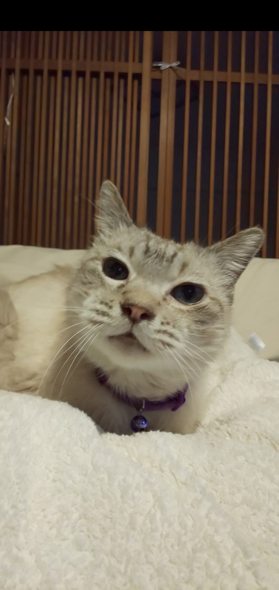 Screenshot_20190705-093222.jpg