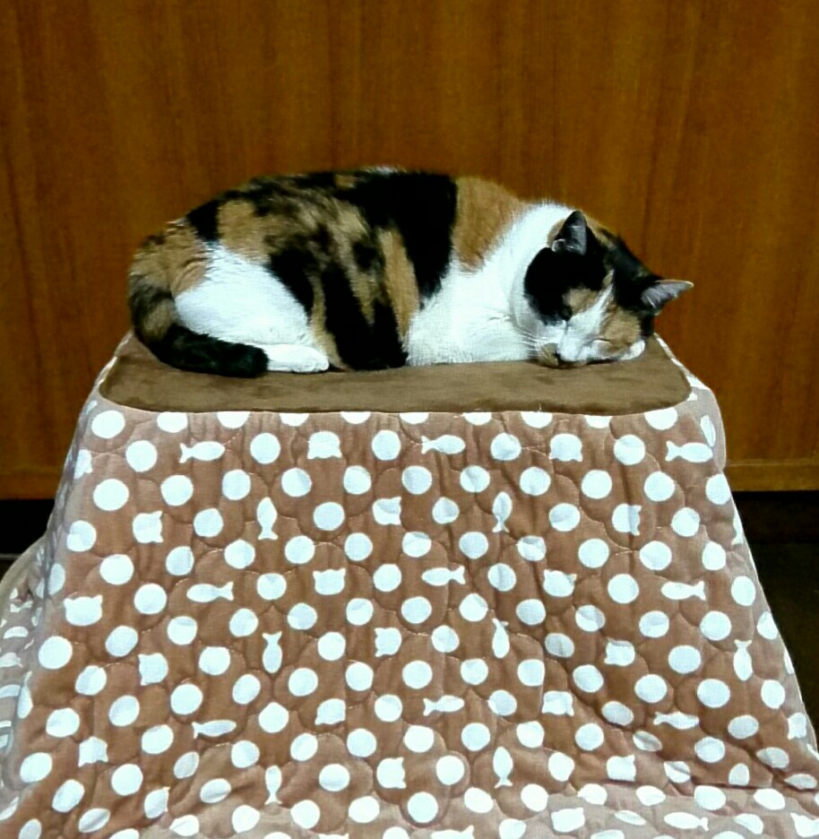_20170109_171915.JPG