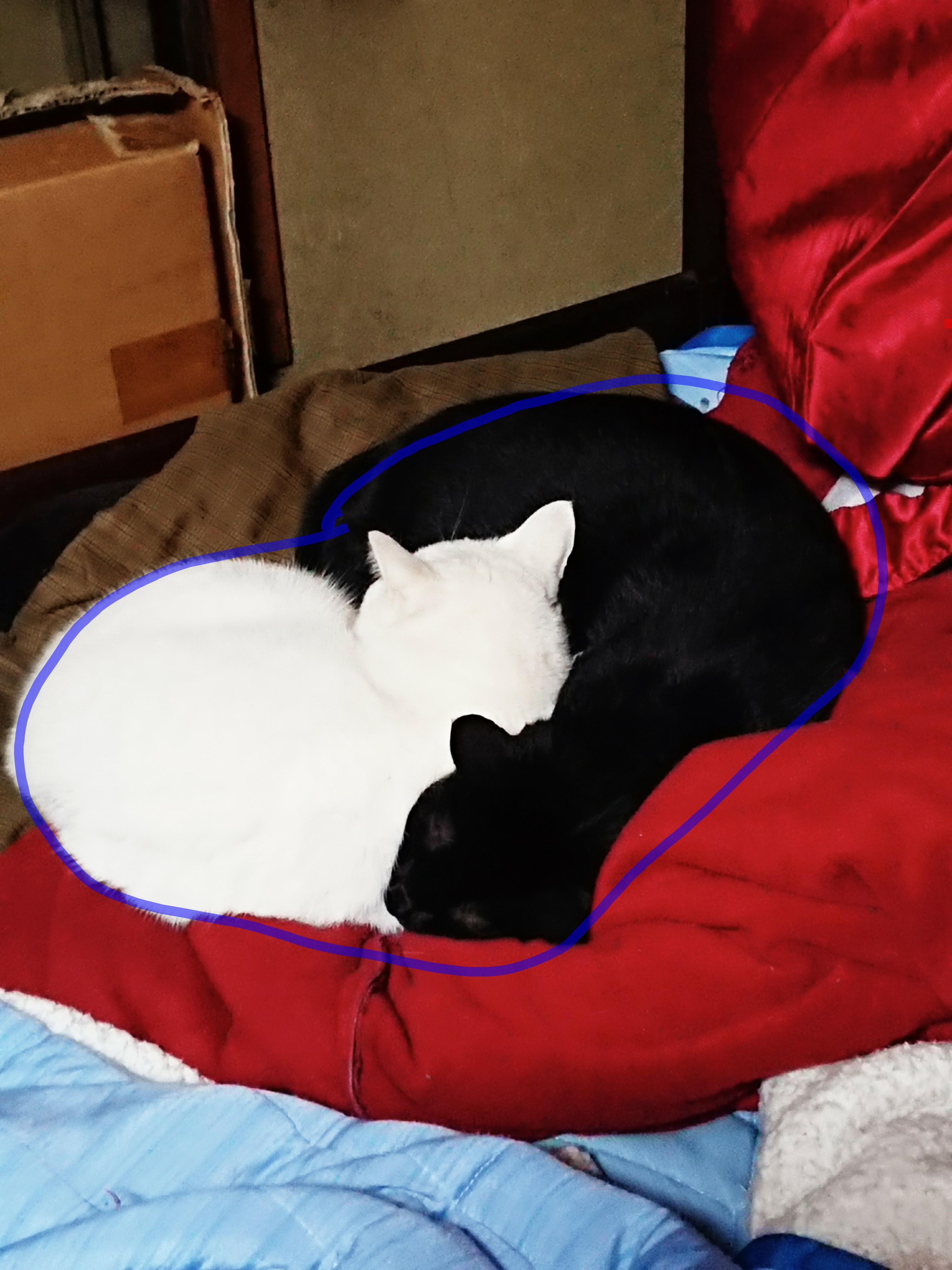 _20180124_205350.JPG