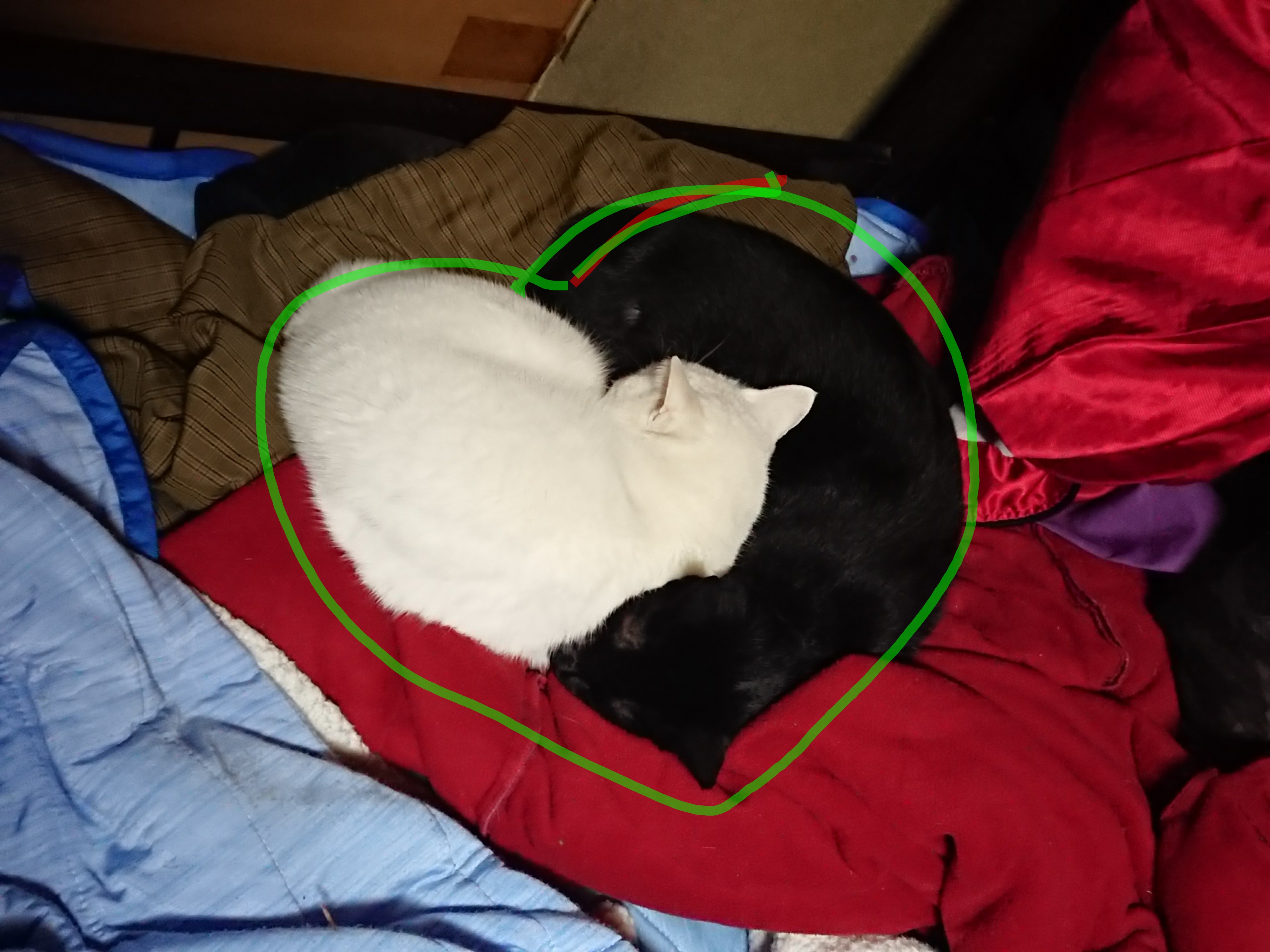 _20180124_205510.JPG