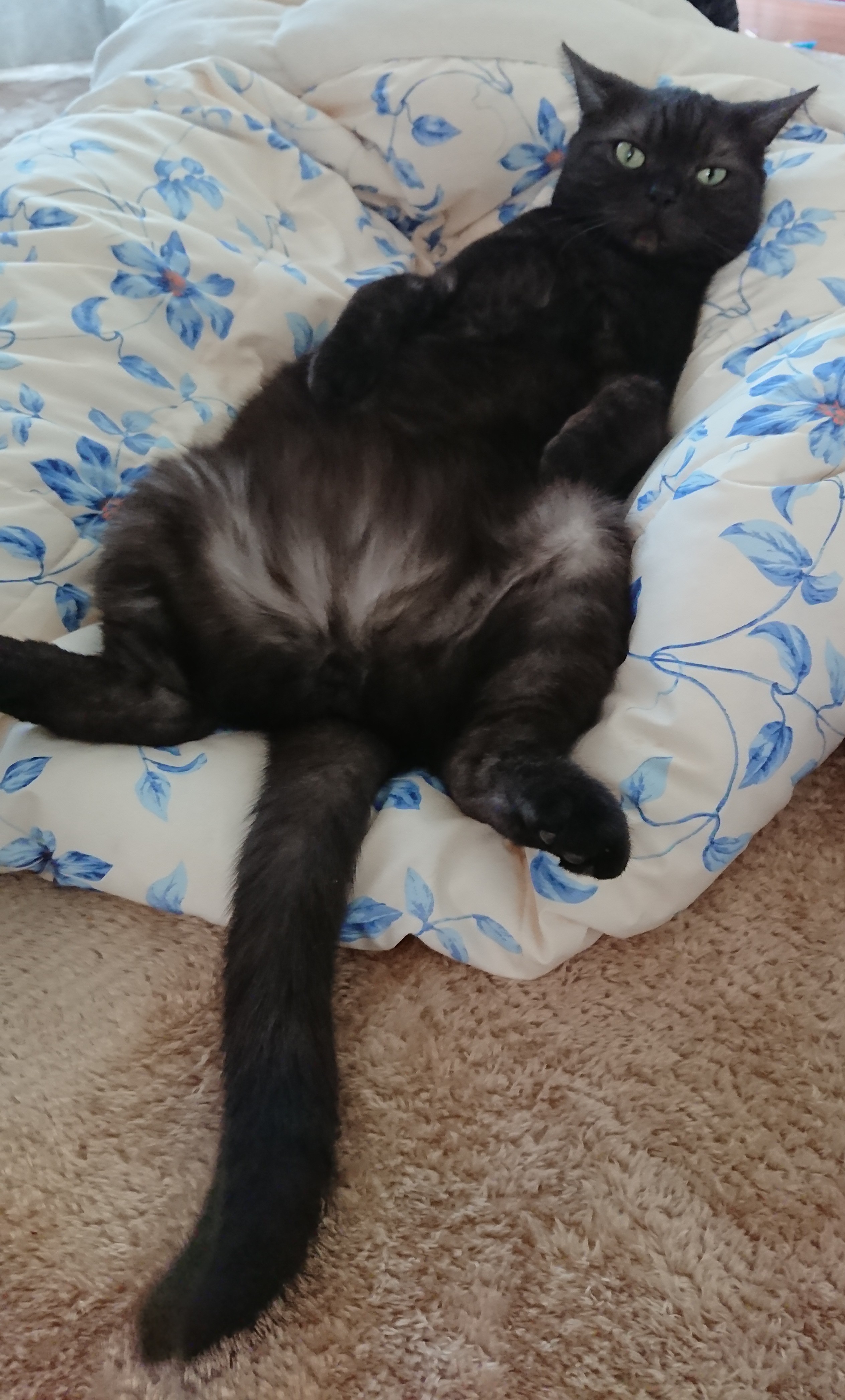 _20180326_123117.JPG