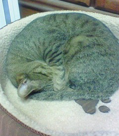 _20200512_235501.JPG